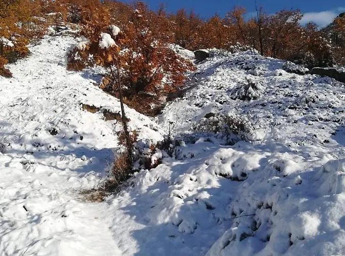 La Cancha I Navalacruz